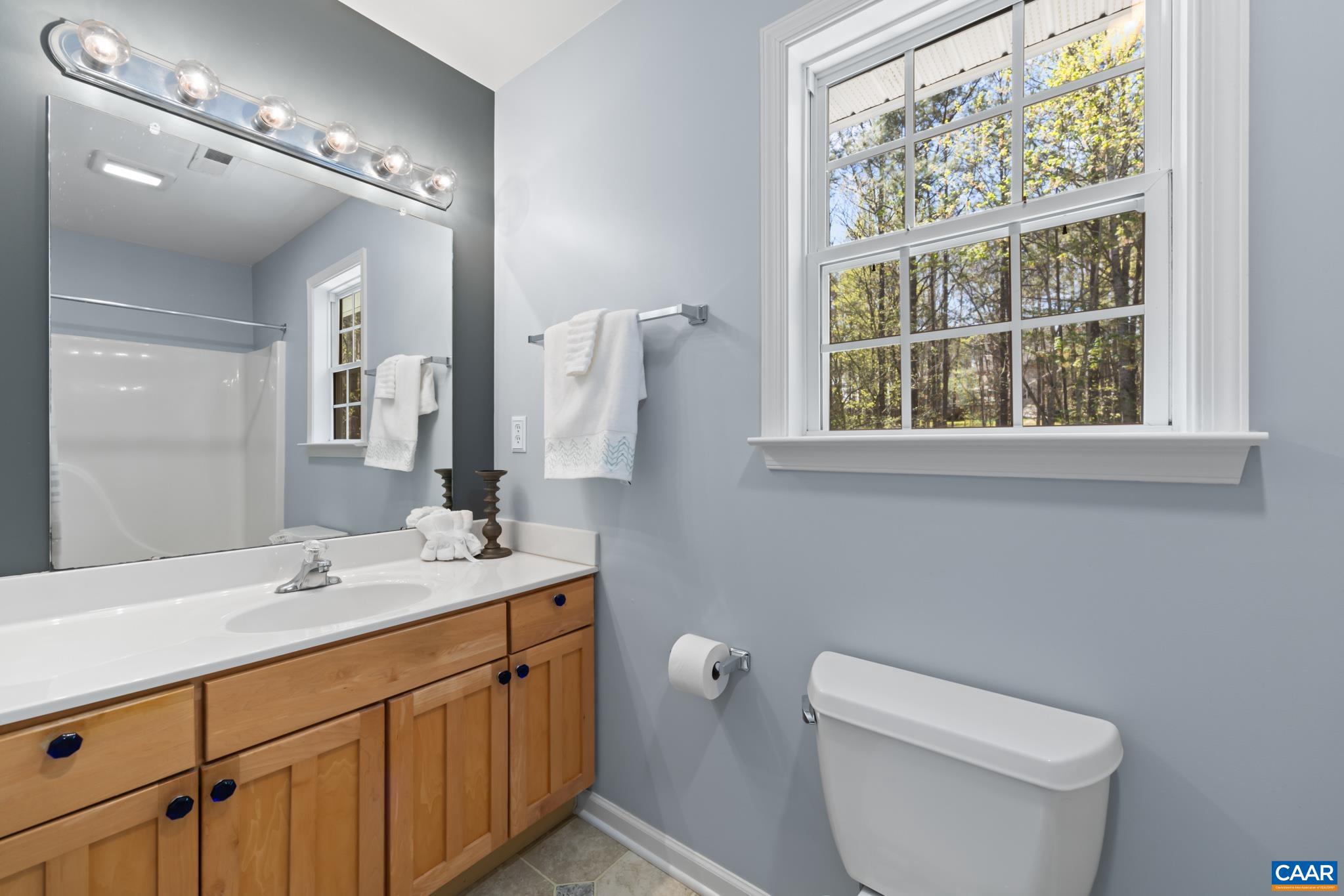 96 Red Cedar Road Barboursville, VA 22923 - Photo 34 of 59 a bathroom with a toilet a sink a light fixture and a mirror