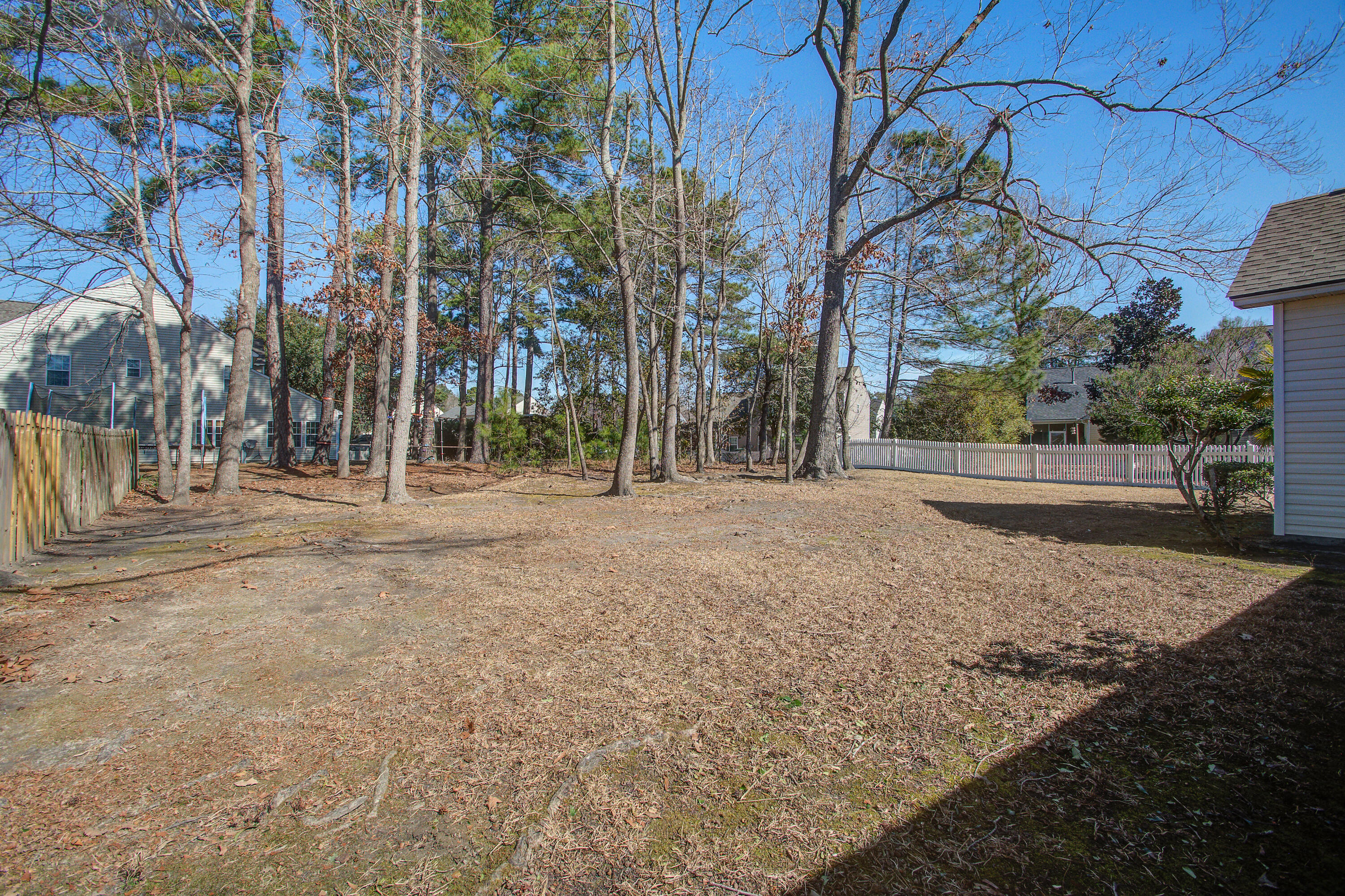 7559 Hawks Circle Hanahan, SC 29410 - Photo 23 of 33 Back Yard