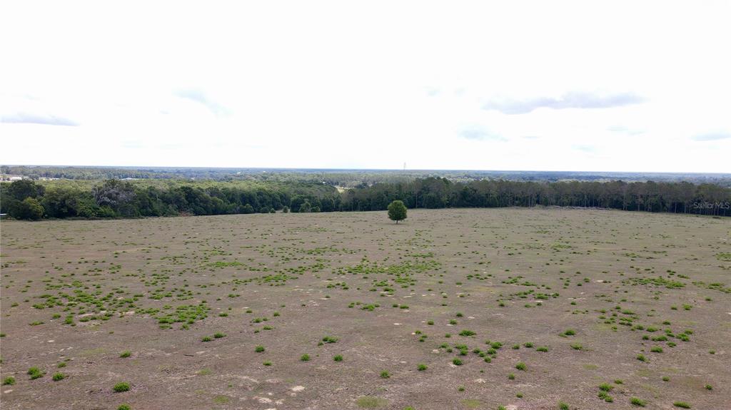 Parrish Grove Road Dade City, FL 33523 - Photo 14 of 23 a view of a field with trees in background