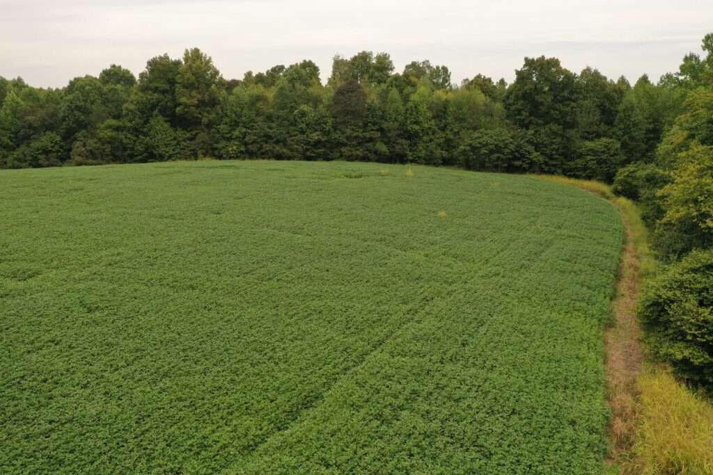 1235 Ewing Ridge Road Dunnville, KY 42528 - Photo 16 of 24 Gridler.10