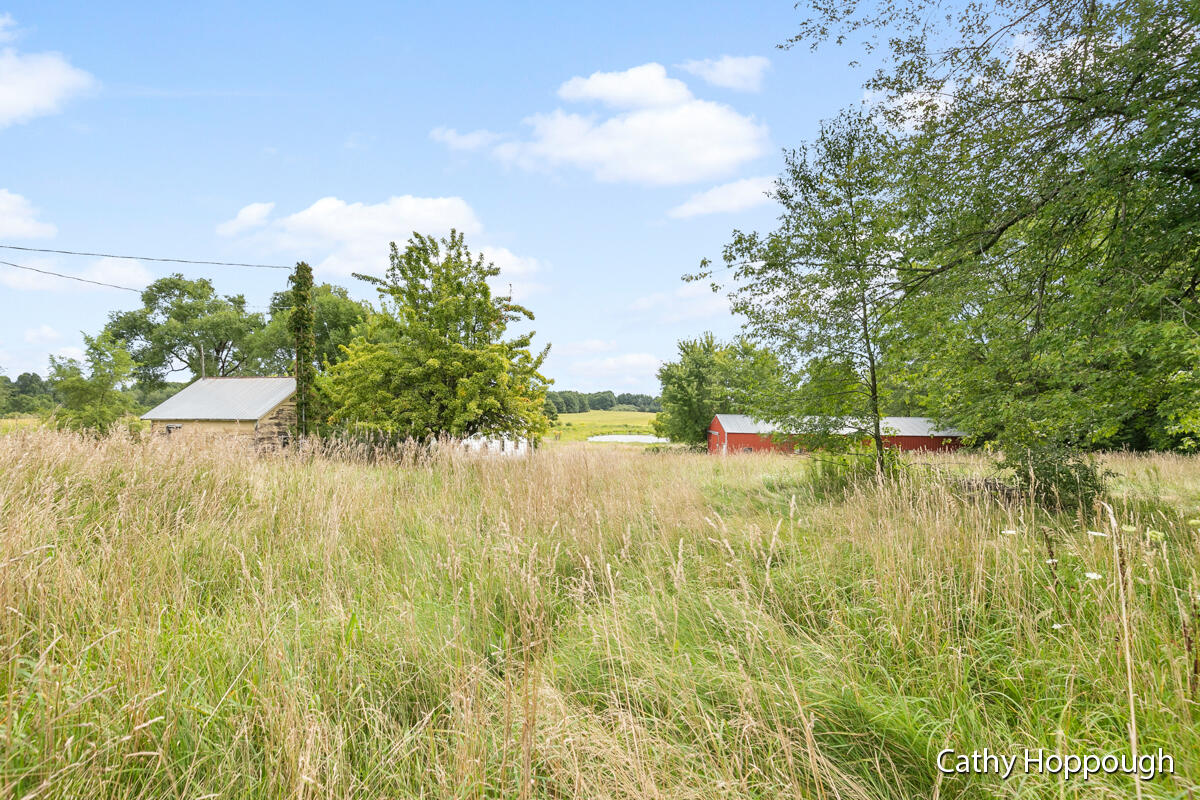 461 Fitzner Road Greenville, MI 48838 - Photo 20 of 25 IMG_1019