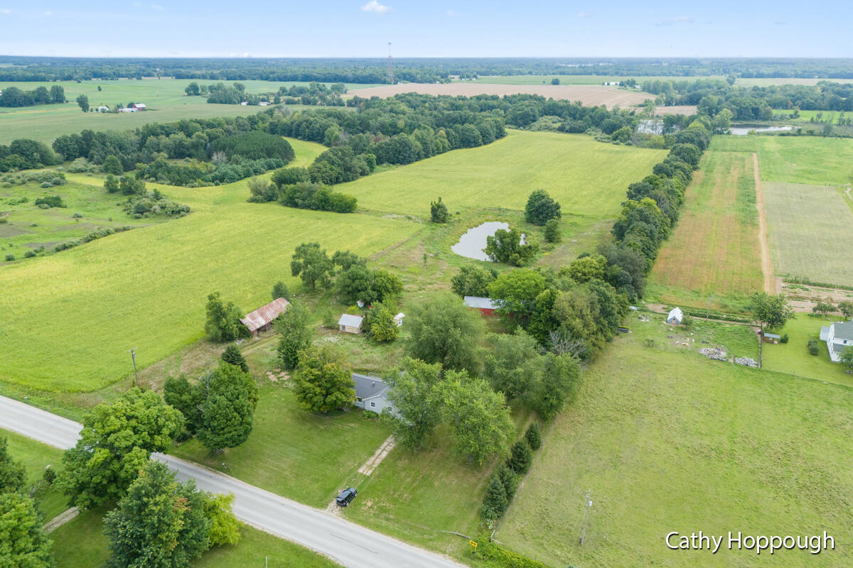 461 Fitzner Road Greenville, MI 48838 - Photo 23 of 25 IMG_1022