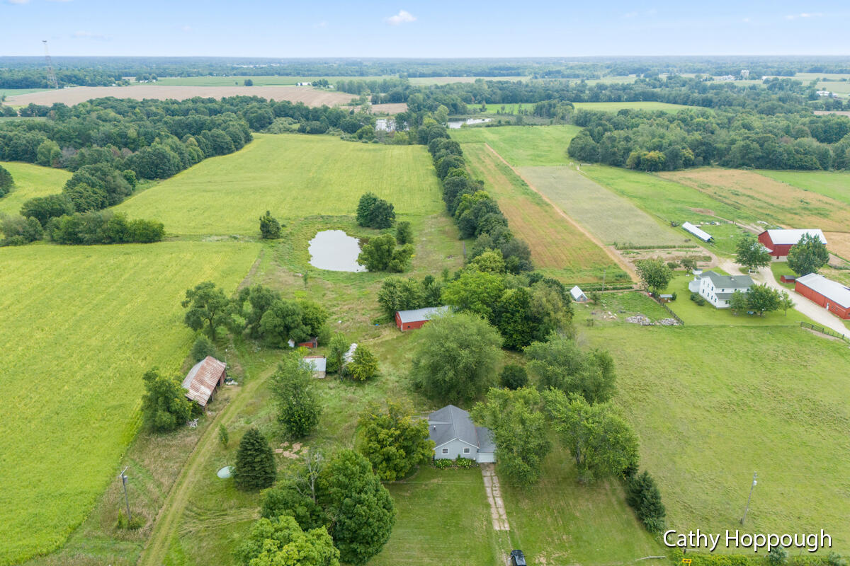 461 Fitzner Road Greenville, MI 48838 - Photo 24 of 25 IMG_1023