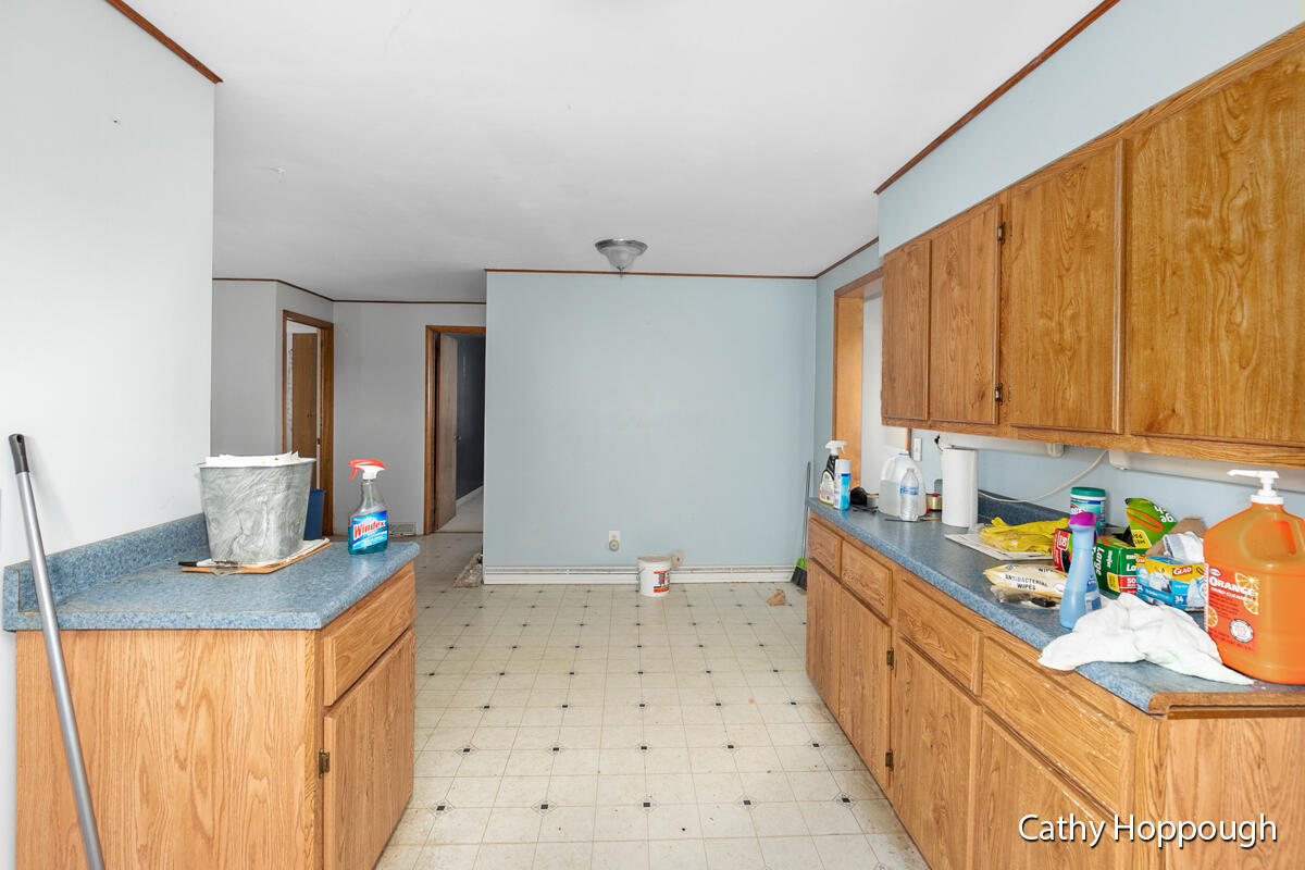 461 Fitzner Road Greenville, MI 48838 - Photo 10 of 25 IMG_1009