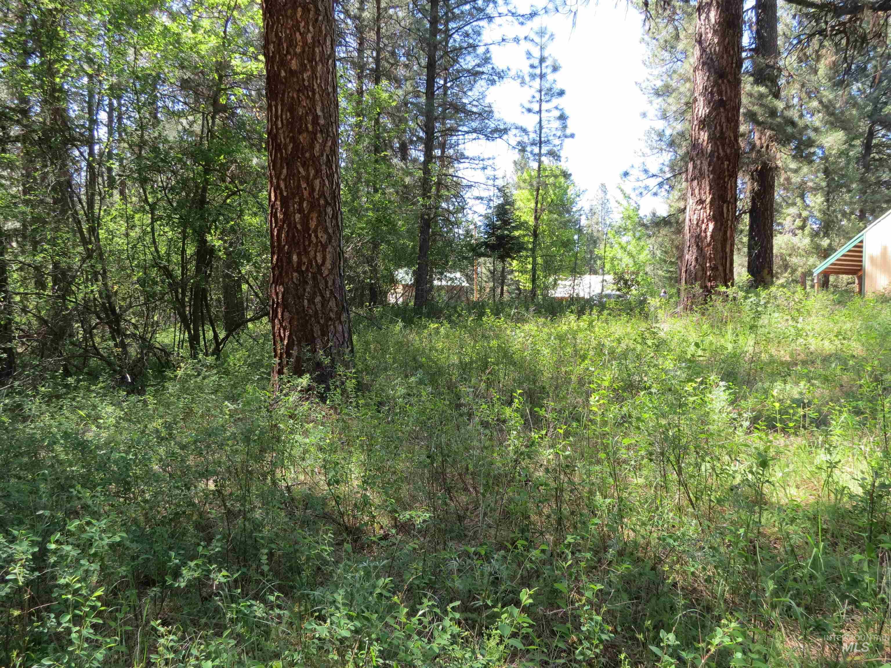 Parcel C Caseys Road Garden Valley, ID 83622 - Photo 17 of 20