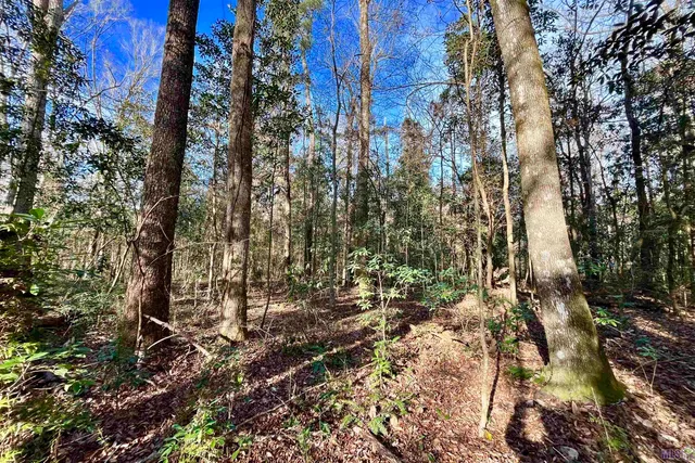 $124,900 | 21 Lillian Lane, Ethel, LA 70730