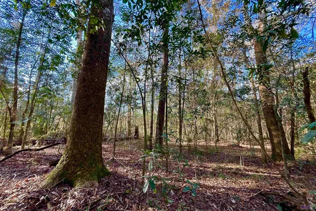 $124,900 | 21 Lillian Lane, Ethel, LA 70730