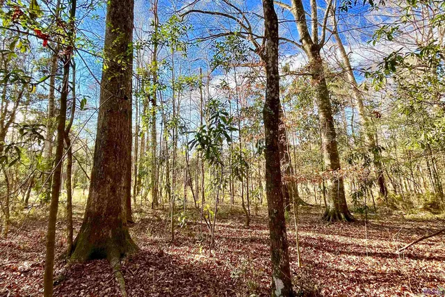 $124,900 | 21 Lillian Lane, Ethel, LA 70730