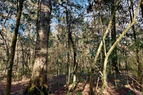 $124,900 | 21 Lillian Lane, Ethel, LA 70730