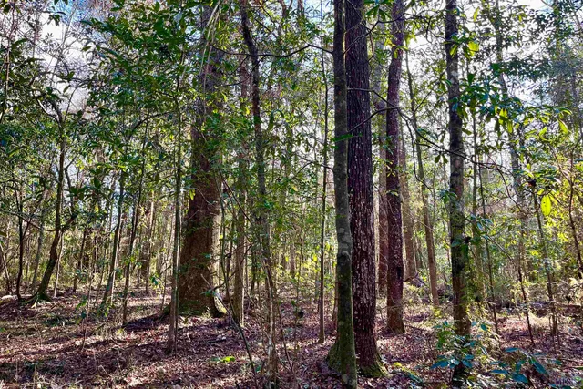 $124,900 | 21 Lillian Lane, Ethel, LA 70730