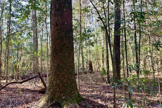 $124,900 | 21 Lillian Lane, Ethel, LA 70730