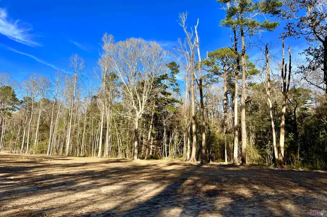 $124,900 | 21 Lillian Lane, Ethel, LA 70730