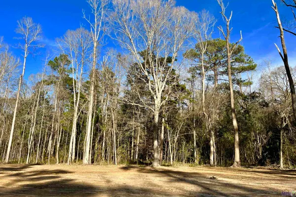 $124,900 | 21 Lillian Lane, Ethel, LA 70730