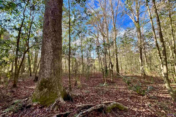 $124,900 | 21 Lillian Lane, Ethel, LA 70730