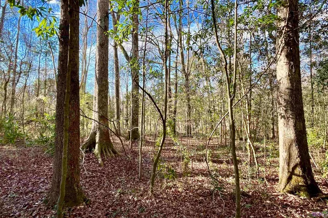 $124,900 | 21 Lillian Lane, Ethel, LA 70730