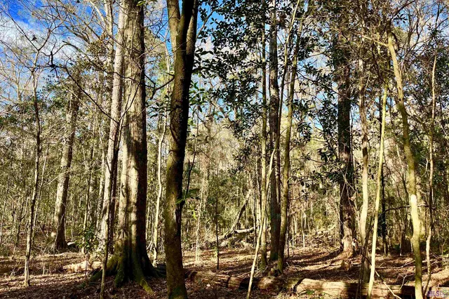 $124,900 | 21 Lillian Lane, Ethel, LA 70730