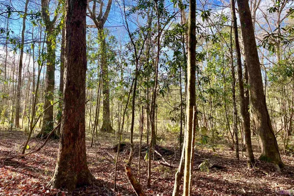 $124,900 | 21 Lillian Lane, Ethel, LA 70730