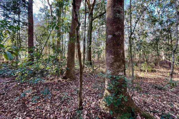 $124,900 | 21 Lillian Lane, Ethel, LA 70730