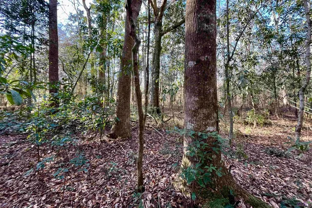 $124,900 | 21 Lillian Lane, Ethel, LA 70730