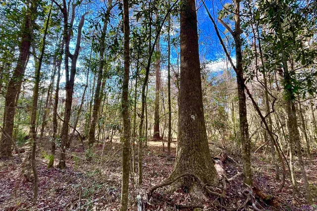 $124,900 | 21 Lillian Lane, Ethel, LA 70730