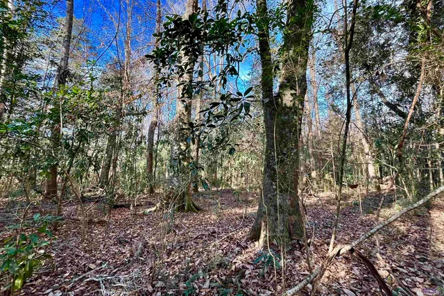 $124,900 | 21 Lillian Lane, Ethel, LA 70730