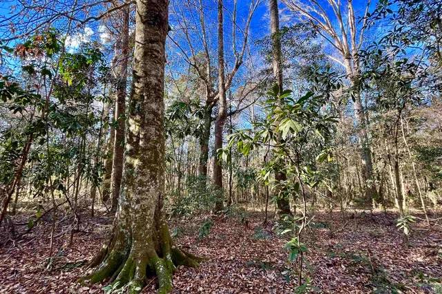 $124,900 | 21 Lillian Lane, Ethel, LA 70730