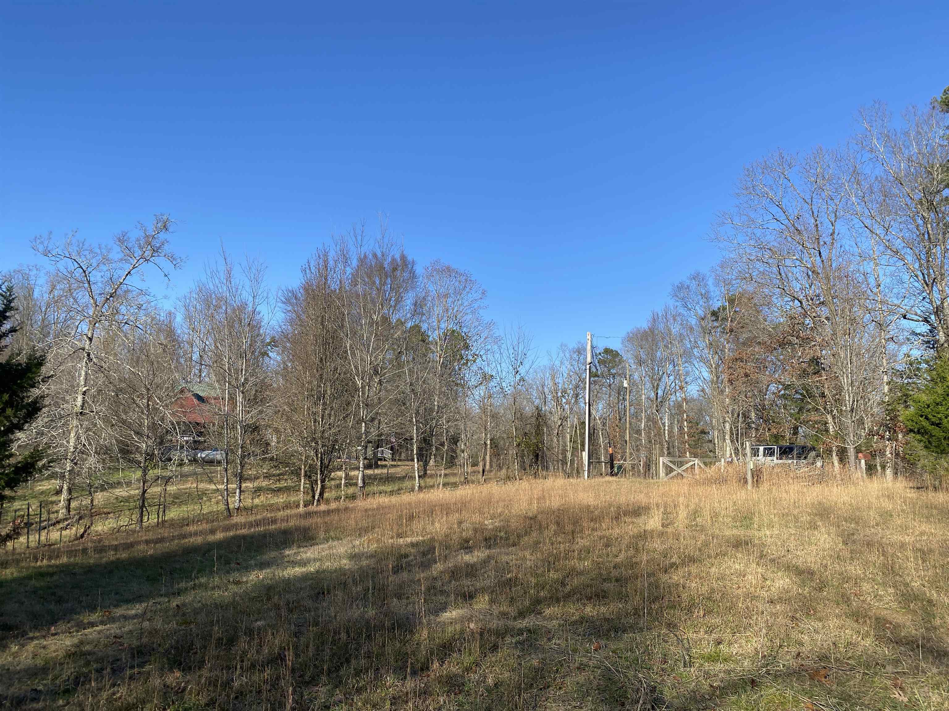 2835 Cerro Gordo Road Olivehill, TN 38475 - Photo 35 of 40 a view of outdoor space and yard