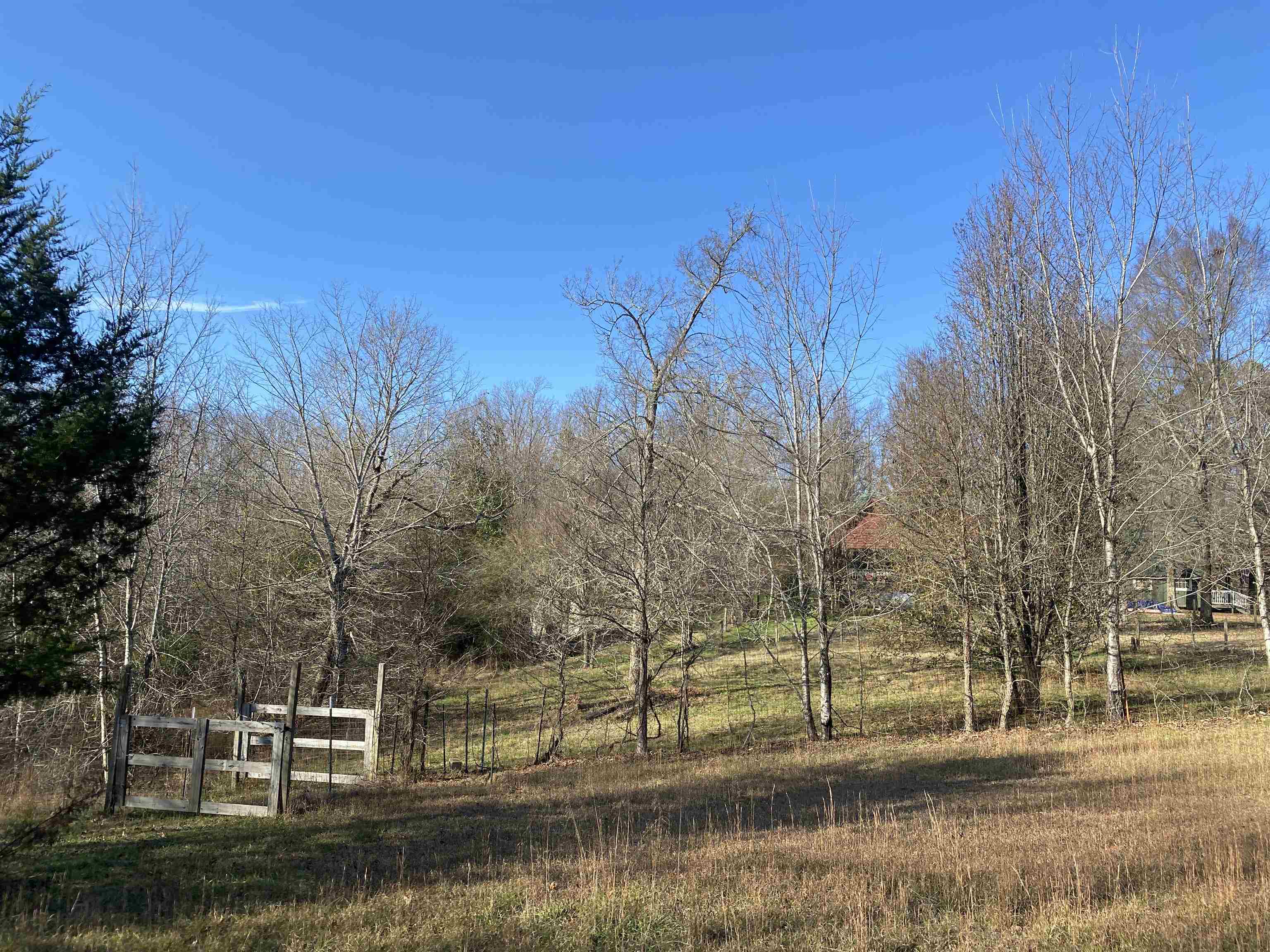 2835 Cerro Gordo Road Olivehill, TN 38475 - Photo 36 of 40 a view of house with trees in the background