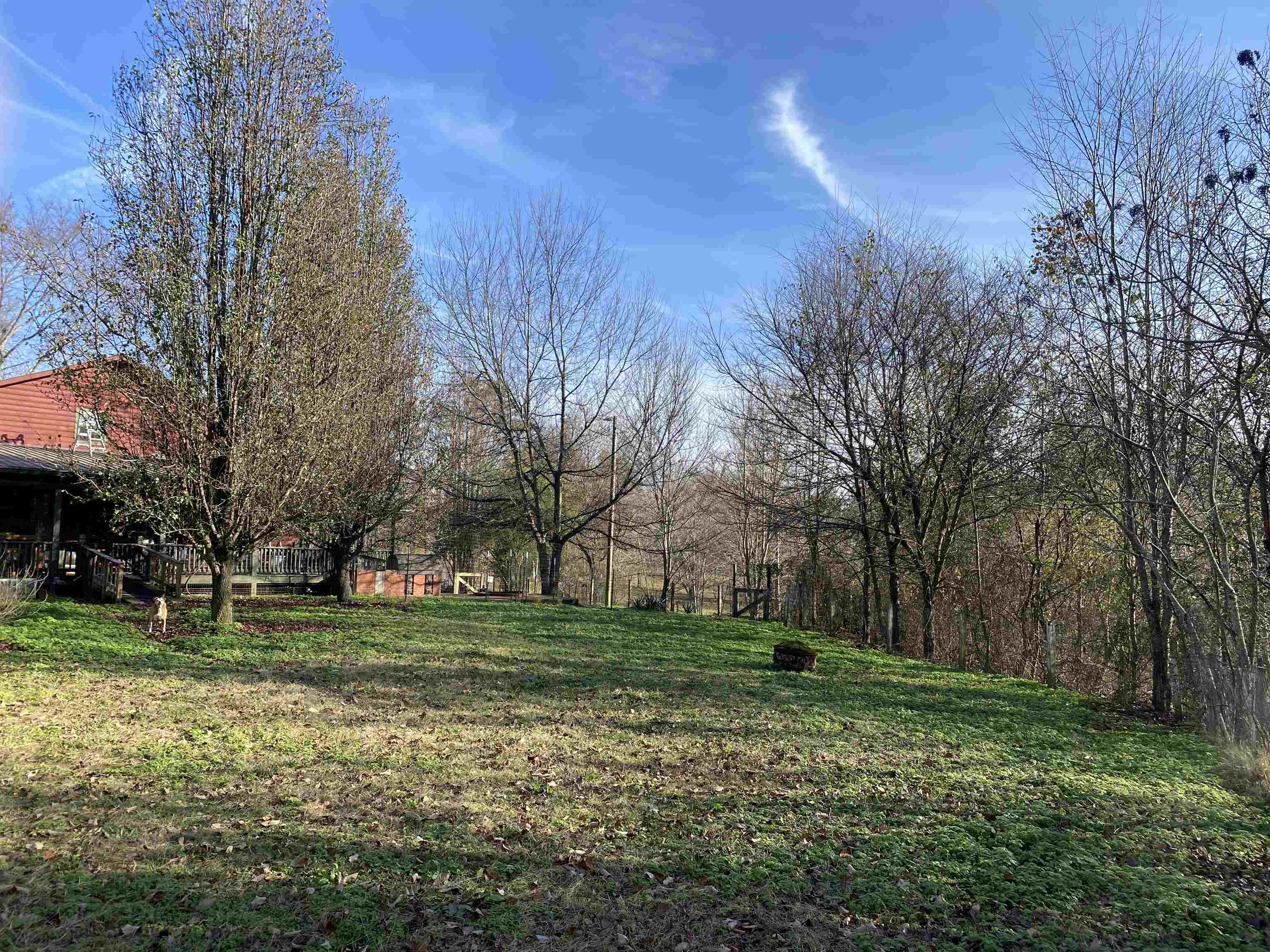 2835 Cerro Gordo Road Olivehill, TN 38475 - Photo 37 of 40 a backyard of a house with lots of green space and fountain