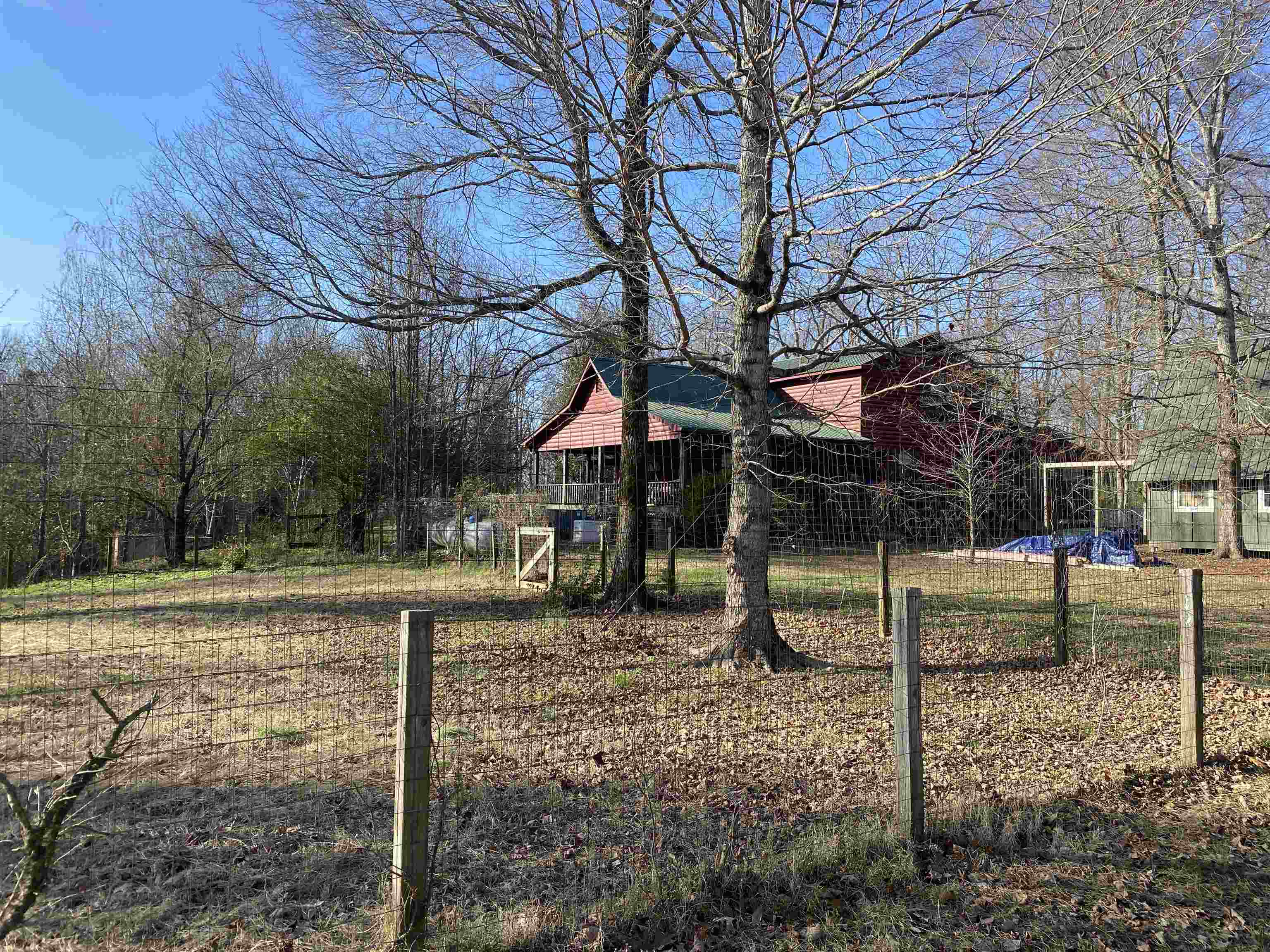 2835 Cerro Gordo Road Olivehill, TN 38475 - Photo 38 of 40 a view of a backyard