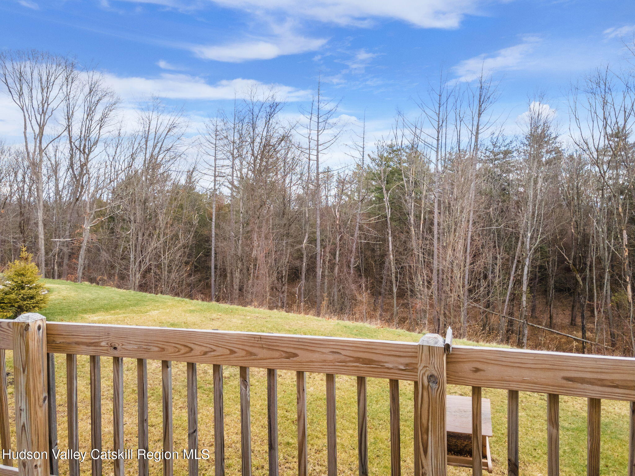 22 Edinburgh Court New Scotland, NY 12159 - Photo 41 of 48 a view of a yard with trees in the background