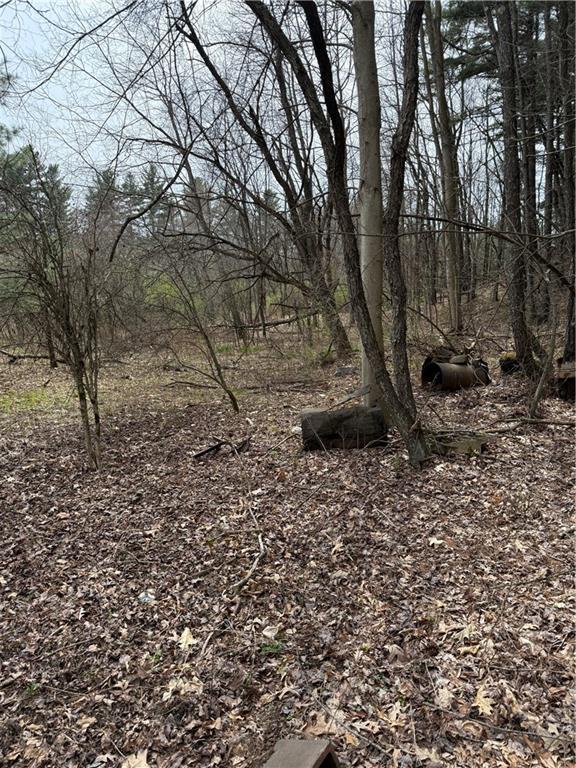 0 Walker Farm Road Sligo, PA 16255 - Photo 2 of 5