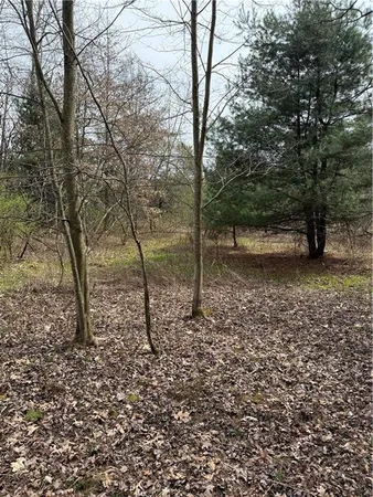 $9,000 | 0 Walker Farm Road, Sligo, PA 16255