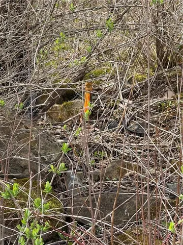 $12,000 | 0 Walker Farm Road, Sligo, PA 16255