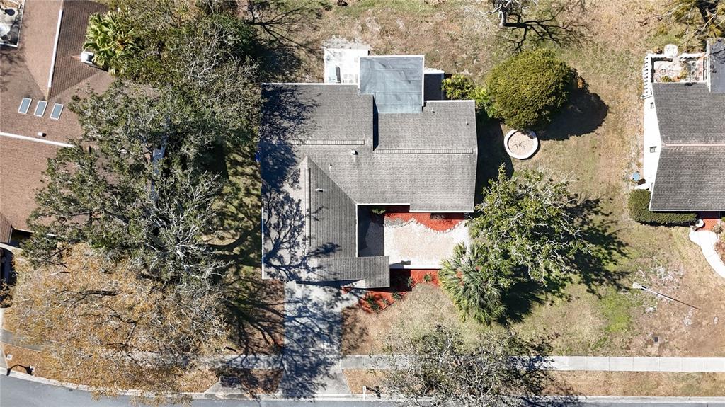 3845 Erin Brook Drive New Port Richey, FL 34655 - Photo 37 of 43