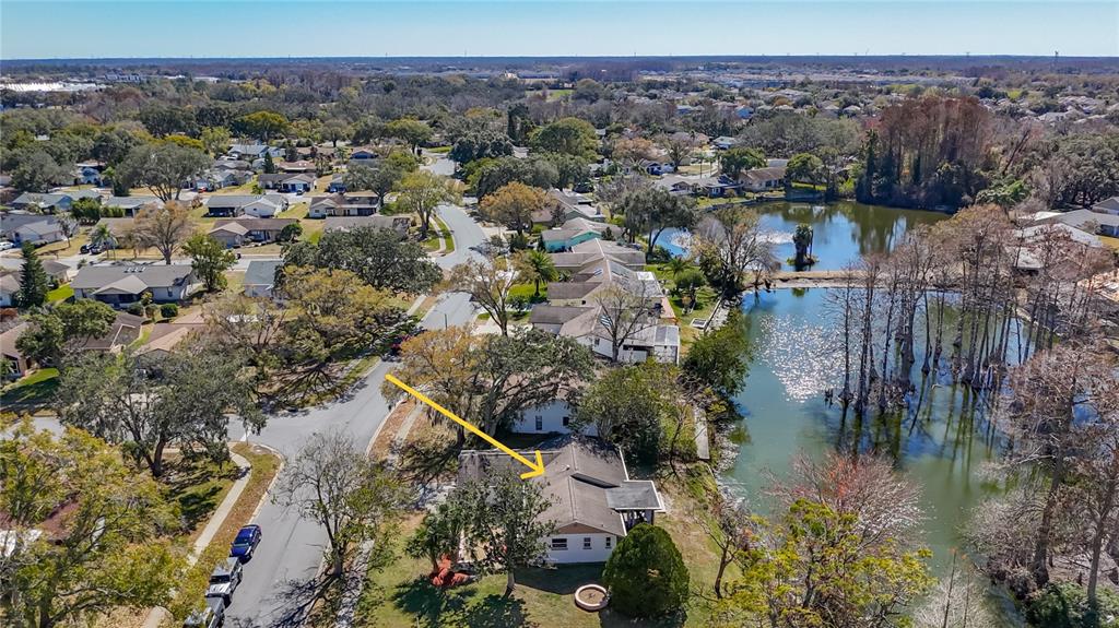 3845 Erin Brook Drive New Port Richey, FL 34655 - Photo 38 of 43