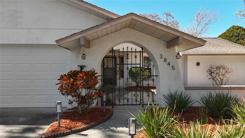 3845 Erin Brook Drive New Port Richey, FL 34655 - Photo 4 of 43