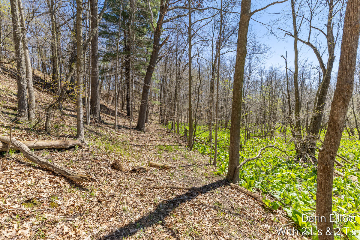 956 Prairie Creek Road Ionia, MI 48846 - Photo 59 of 68