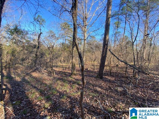 619 Ridge View Drive, Unit 5 ACRES Trussville, AL 35173 - Photo 10 of 20