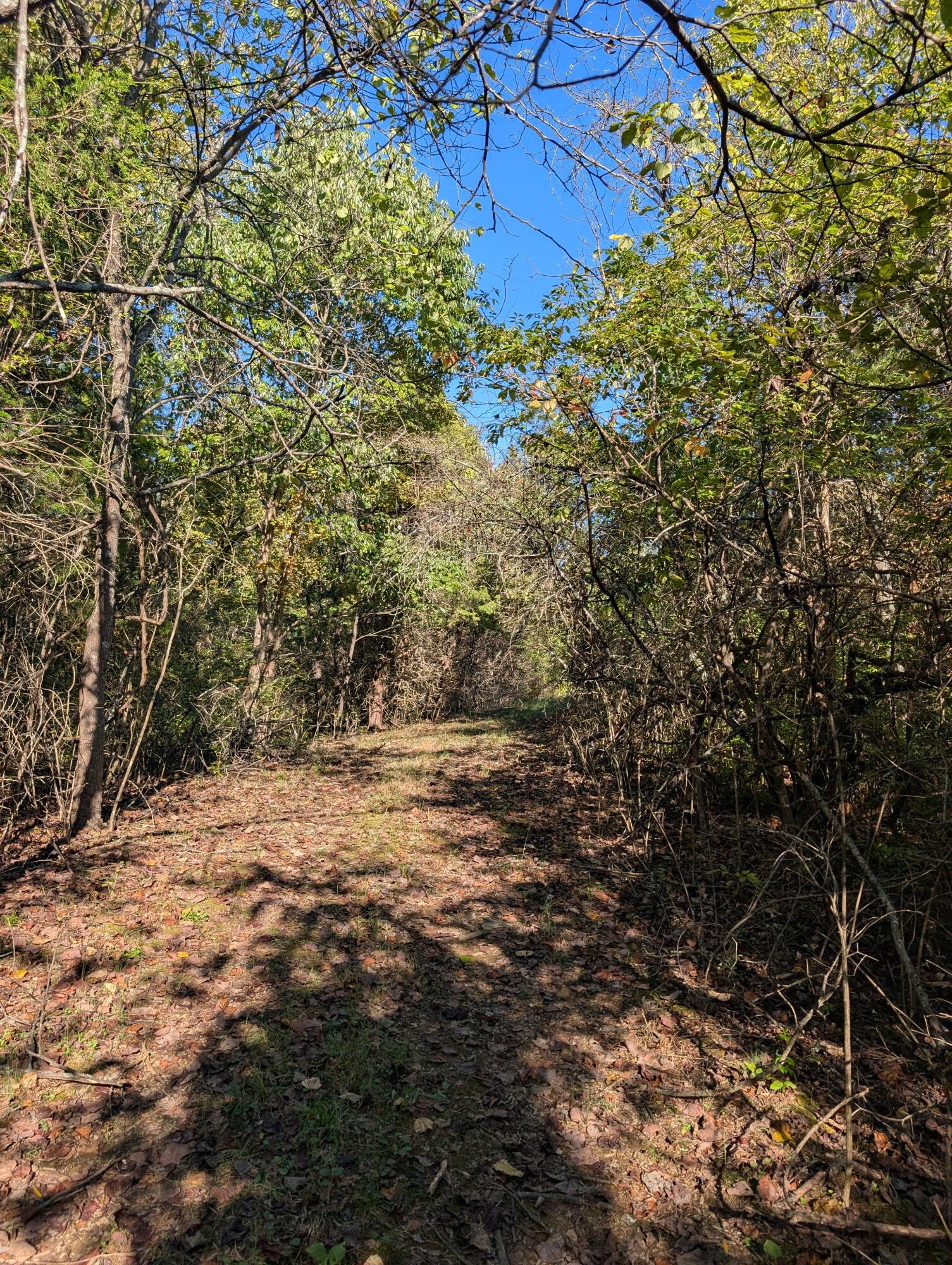 1600 Garnett Road Carlisle, KY 40311 - Photo 8 of 15 PXL_20251009_202615547.MP