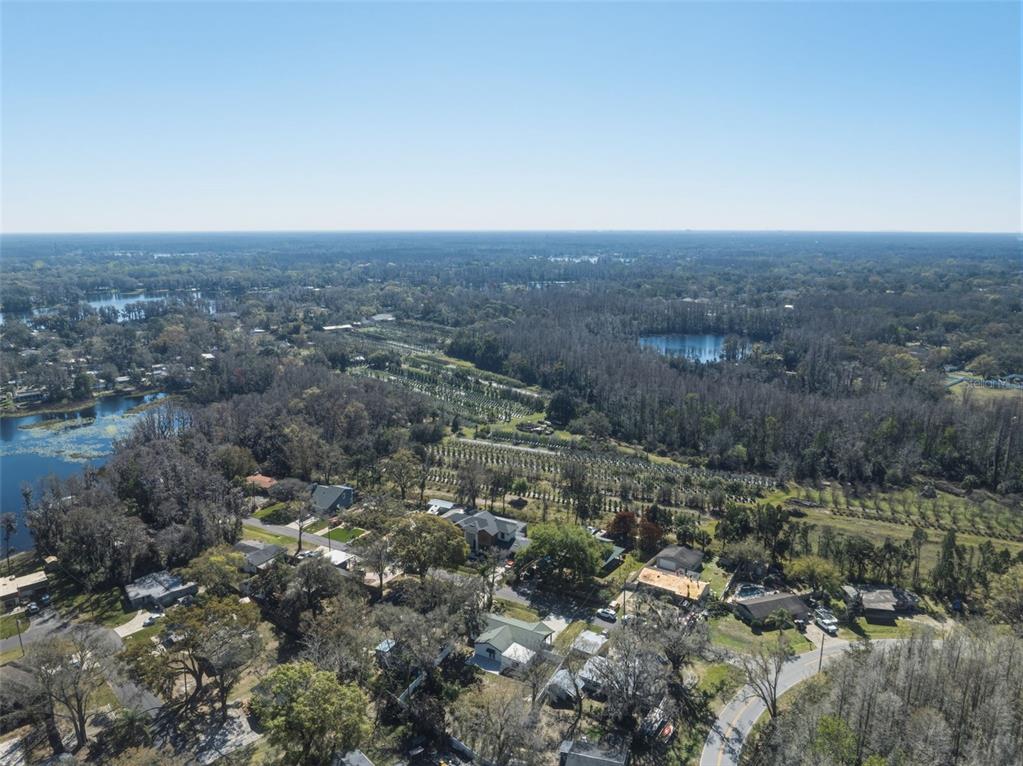 1413 May Street Lutz, FL 33548 - Photo 42 of 43 an aerial view of house with yard and mountain view