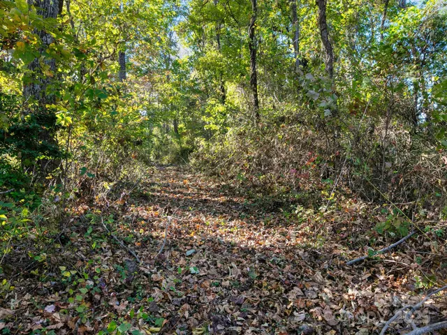 $1,695,000 | 5481 Greenville Highway, Zirconia, NC 28790