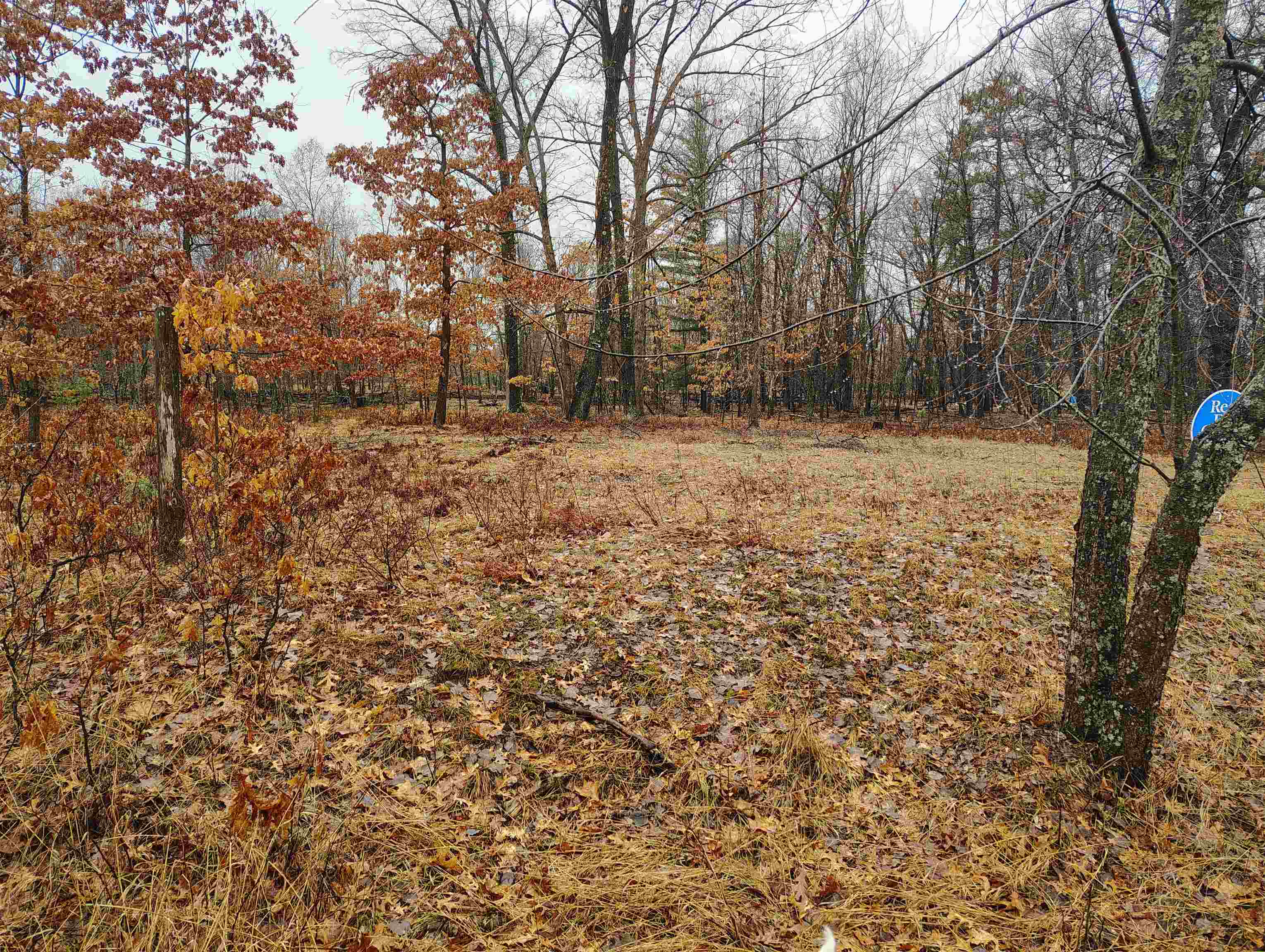 0 Maple Road, Unit LOT: 88 LOT: 88 Gladwin, MI 48624 - Photo 6 of 15