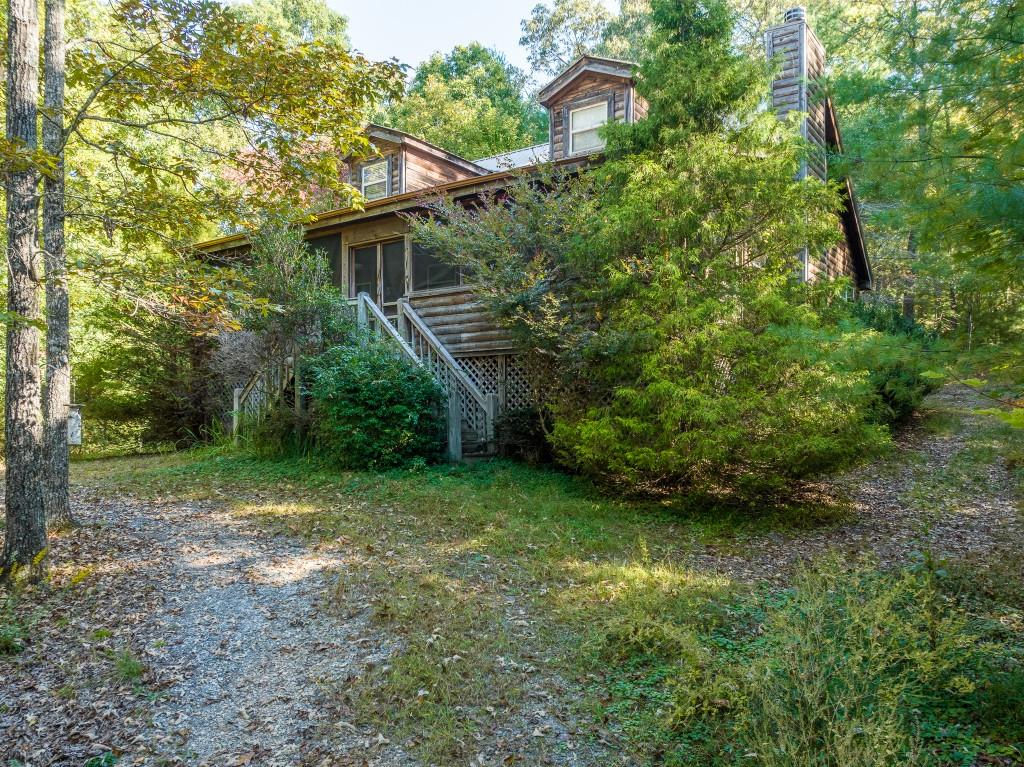 a view of a backyard with plants and large trees