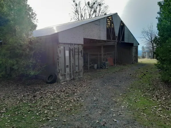 a view of a yard with plants and trees