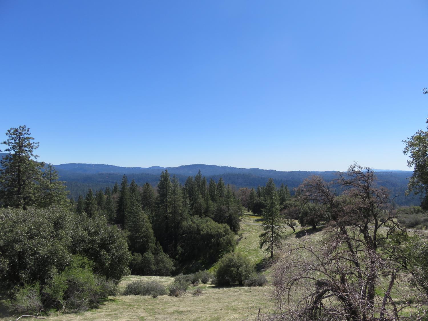 1975 Ridgecrest Way West Point, CA 95255 - Photo 50 of 71 a view of a mountain range with trees in the background