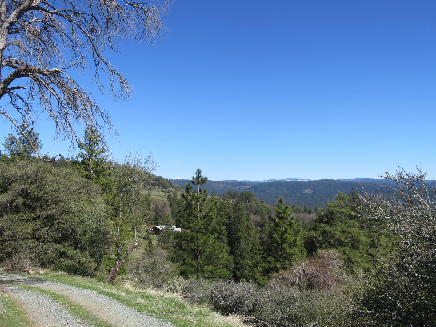 1975 Ridgecrest Way West Point, CA 95255 - Photo 52 of 71 a view of a city with lush green forest