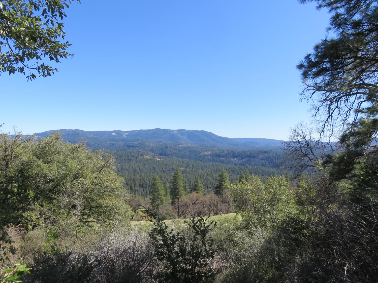 1975 Ridgecrest Way West Point, CA 95255 - Photo 53 of 71 a view of a forest with mountains in the background