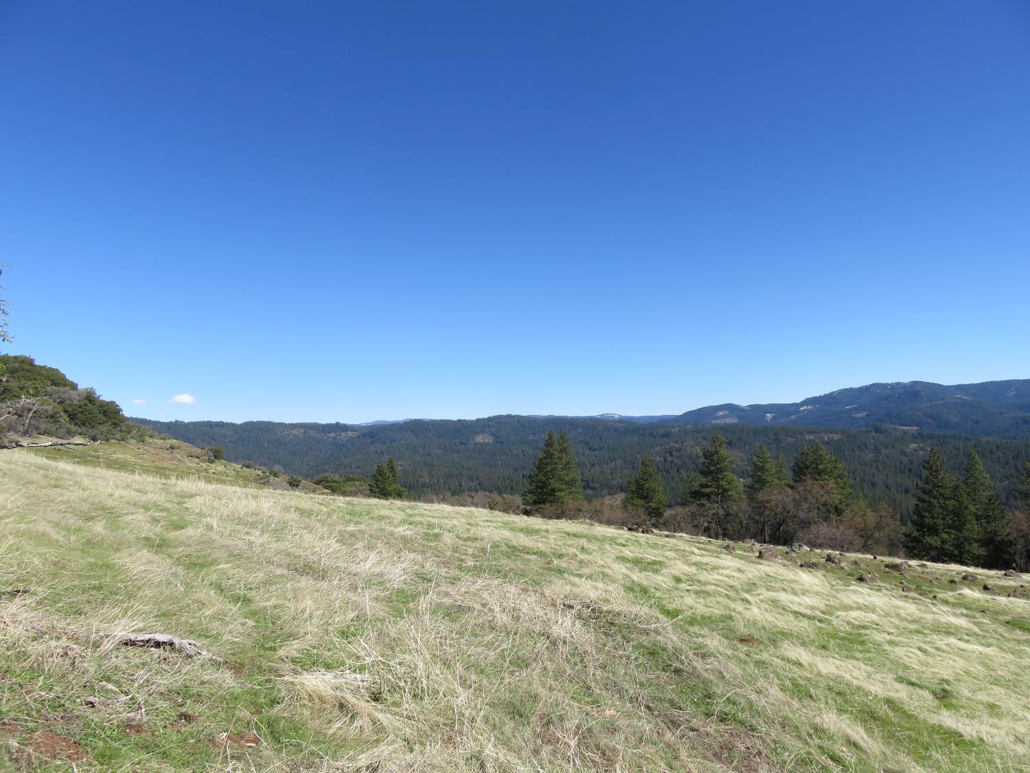 1975 Ridgecrest Way West Point, CA 95255 - Photo 54 of 71