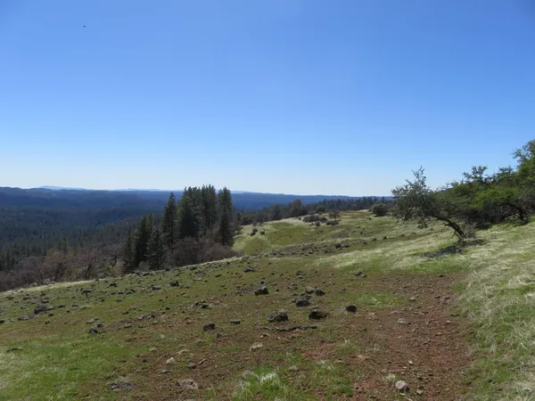$549,000 | 1975 Ridgecrest Way, West Point, CA 95255